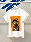 Camiseta perro labrador con gafas sol